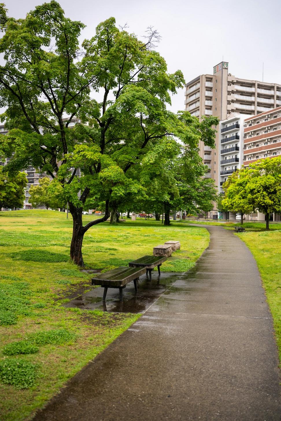 Parkdale Commons Master Plan