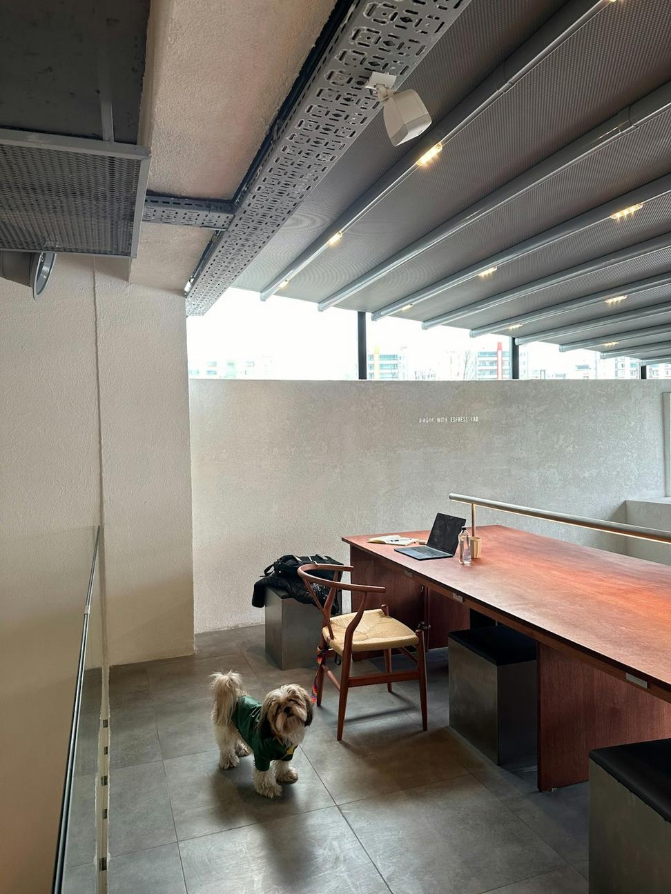 JVQ Studio